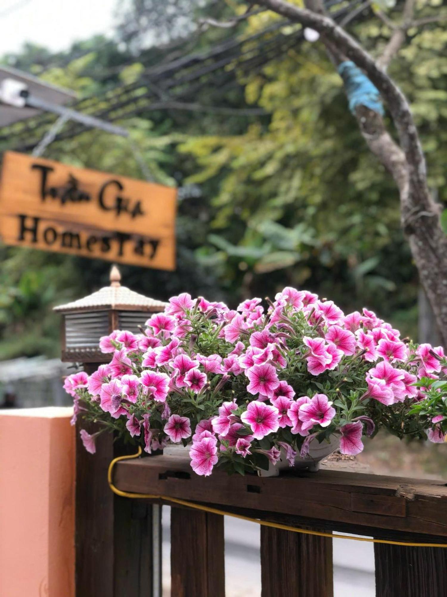 Tran Gia Homestay Nghia Lo المظهر الخارجي الصورة